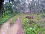 Puthuppally payyappady Purayidam sale