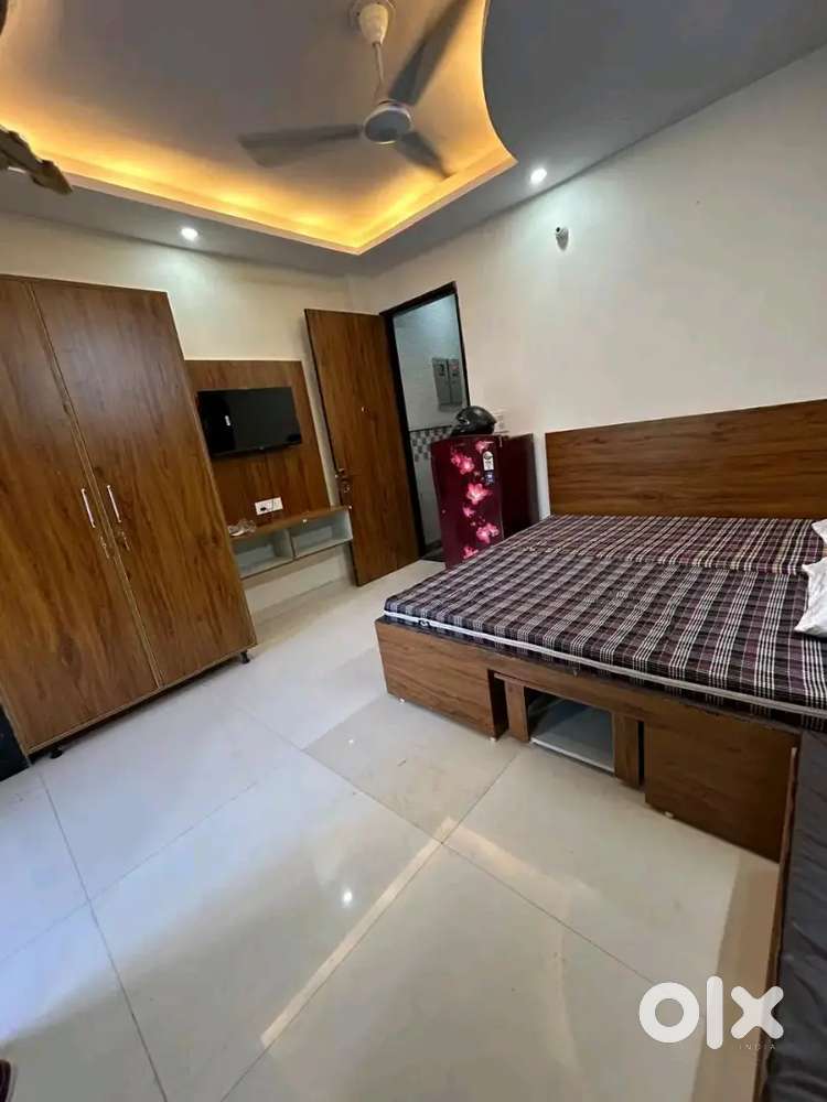 Luxury pg for working professional in sector 47