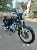 2021 classic halcyon green reborn