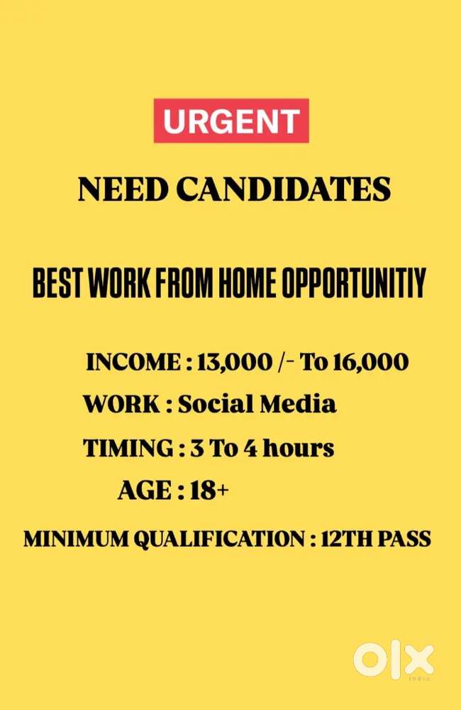 Work From Home Opportunity