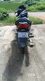 Passion plus model 2024/9/7