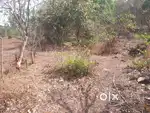 Plot for sale in dodamarg