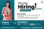 Travel Consultant