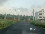 175 gaj plot for Sale in HSVP Sector-25, Rohtak