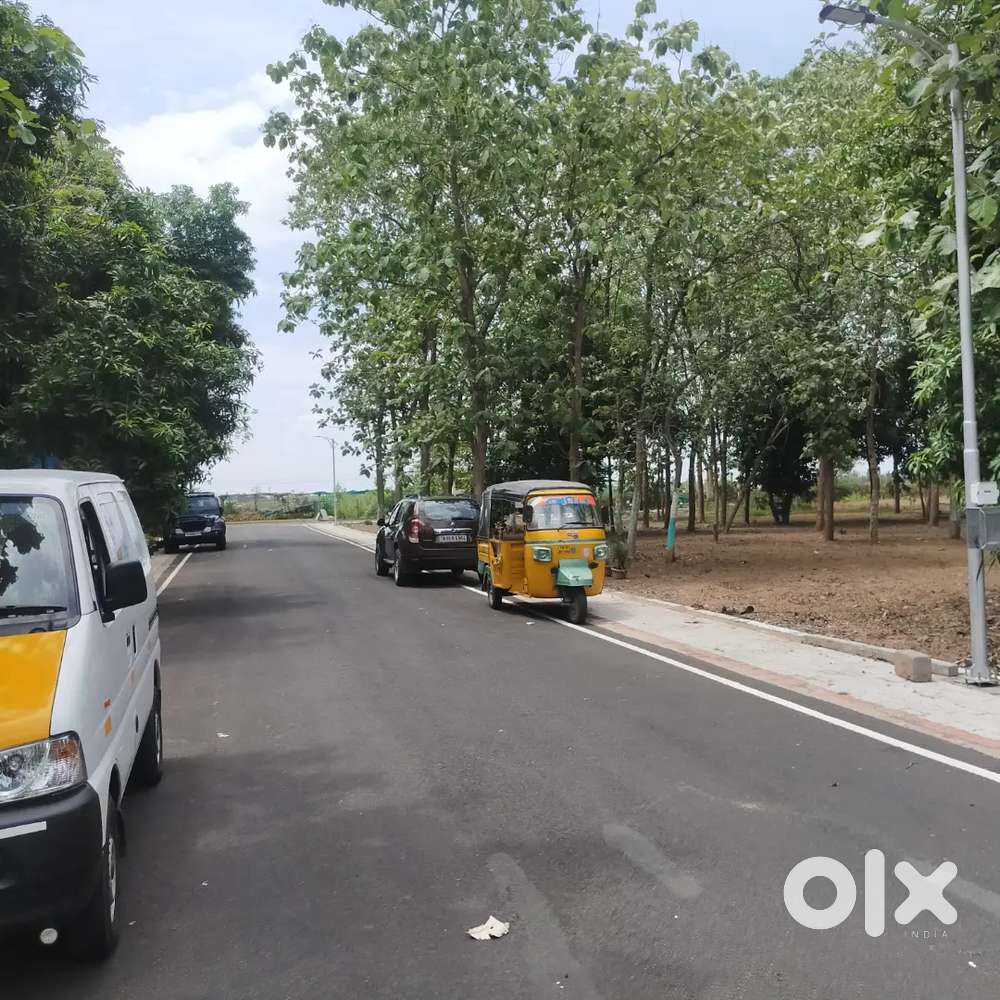 20 + Years Grown Teak & Mango Trees Farm Land at Chengalpattu