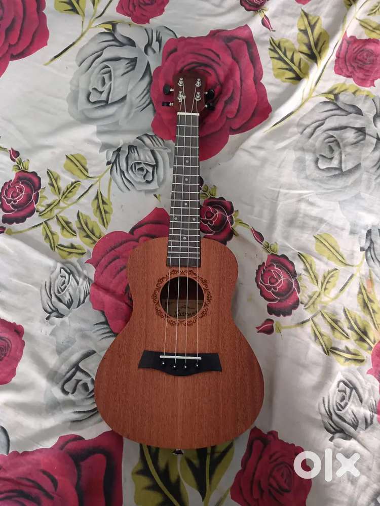 Ukelele musical instruments
