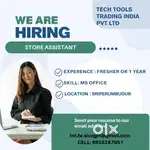 Store Assistant