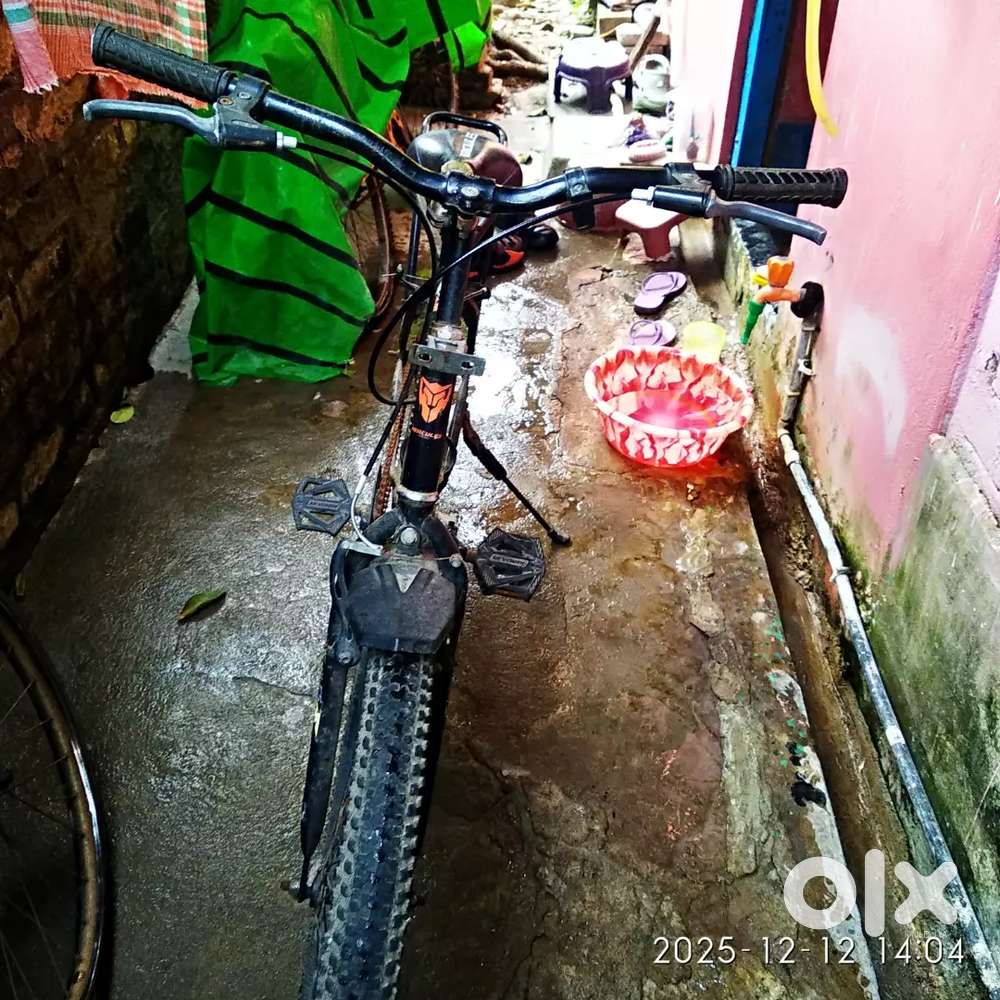 All conditions ok  8 month old