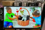 50 inch sony smart Android frameless oled 4k 3yr display waranty 24500