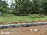 അങ്കമാലി കറുകുറ്റി അപ്പോളോ പോസ്പിറ്റലിന് സമീപം 5 സെൻറ് മുതൽവിൽപനയ്ക്ക്