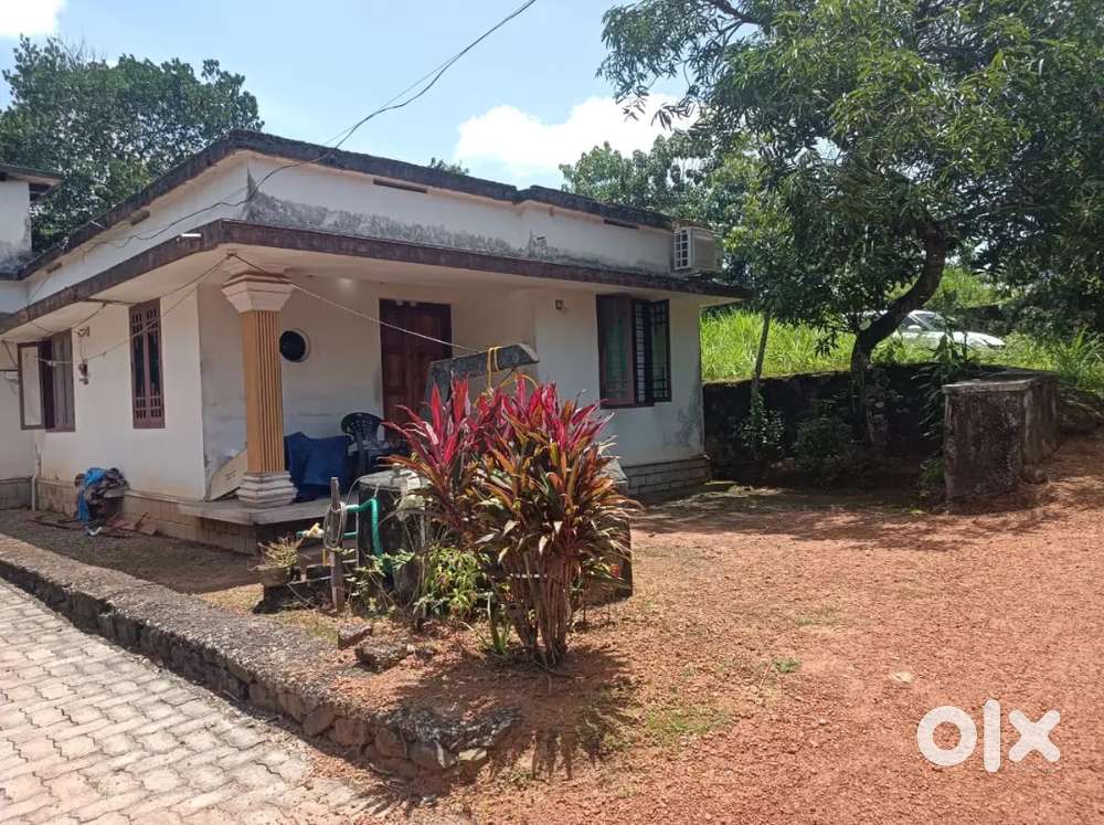 2 BHK House for Sale on 7 Cent Land in Pallikkara – ₹35 Lakh