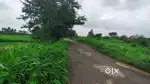 10 Agriculture Open Plot for sell.