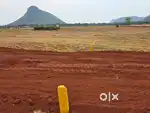 Looking to buy land we are having just 2,999 rs per syd at Ranastalam