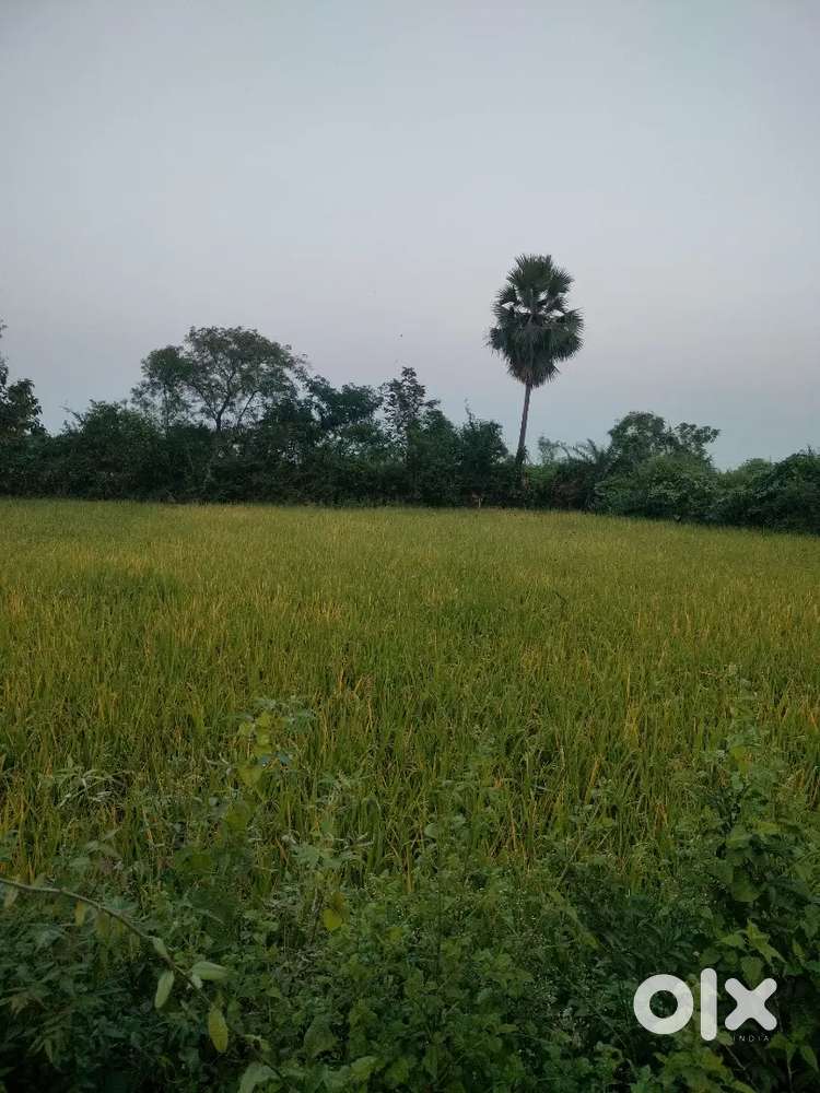 Road comercial plot In fulpada