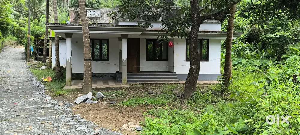 1 acare, 60 cent, 30 cents, Plot avilable new zoological park puthur