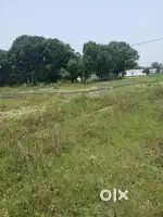 Just 200 mtr inside from main chakrata road