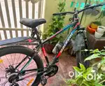 21speed gear cycle