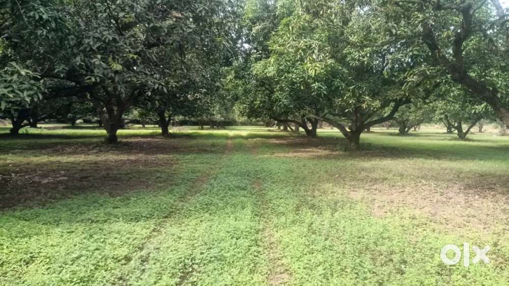 Company s.buisenes purpose bank loan