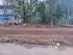 13 cent plot for sale