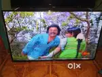 Intex 49 LED TV Display Lines Issues