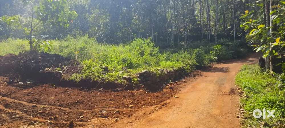 5 MTR tar road frontage premium house plot for sale
in Ettumanoor area