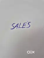 Salary Personal Loan sales officer