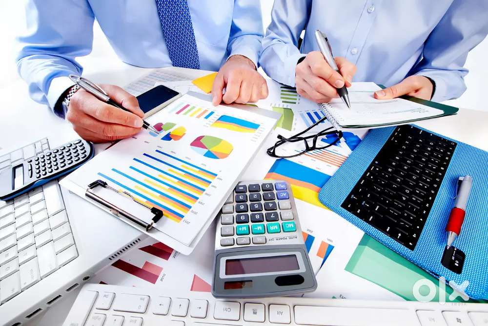 Need Accountant