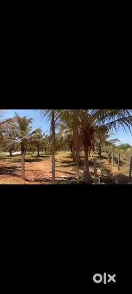 9 Acre Farm Land for Sale near Yediyur