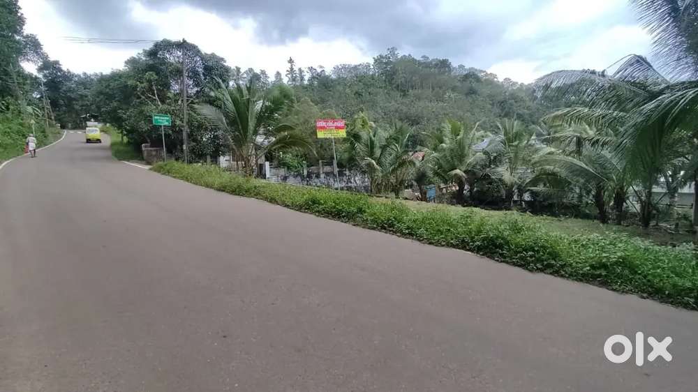 15 cent plot for sale near Ranni Town