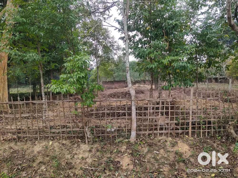 LAND FOR SALE AT TEOK JOGDUWAR... 10 Lac per kotha