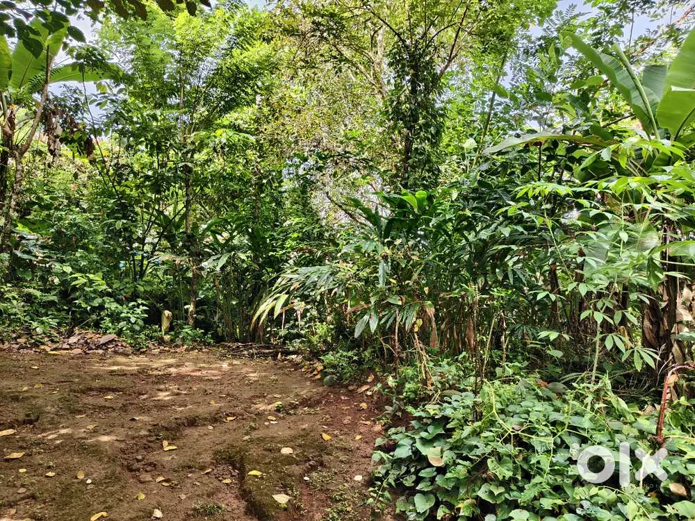 34 Cent Plot for Selling