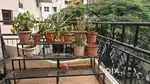 Strong iron plant stand for sale