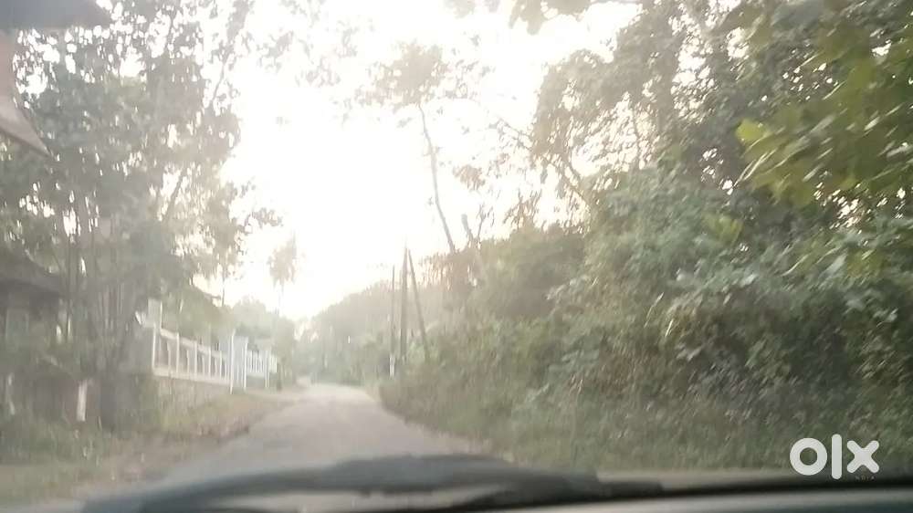 Land plot or house with land need