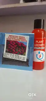 20 Red Climbing Rose Seeds -