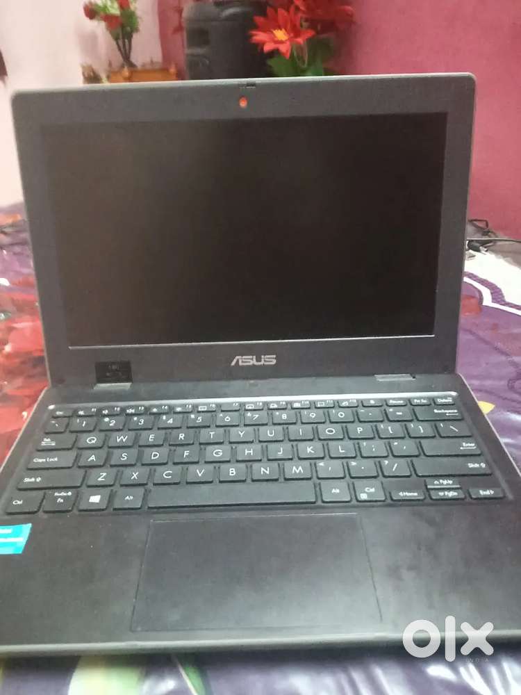 Asus thin and light laptop