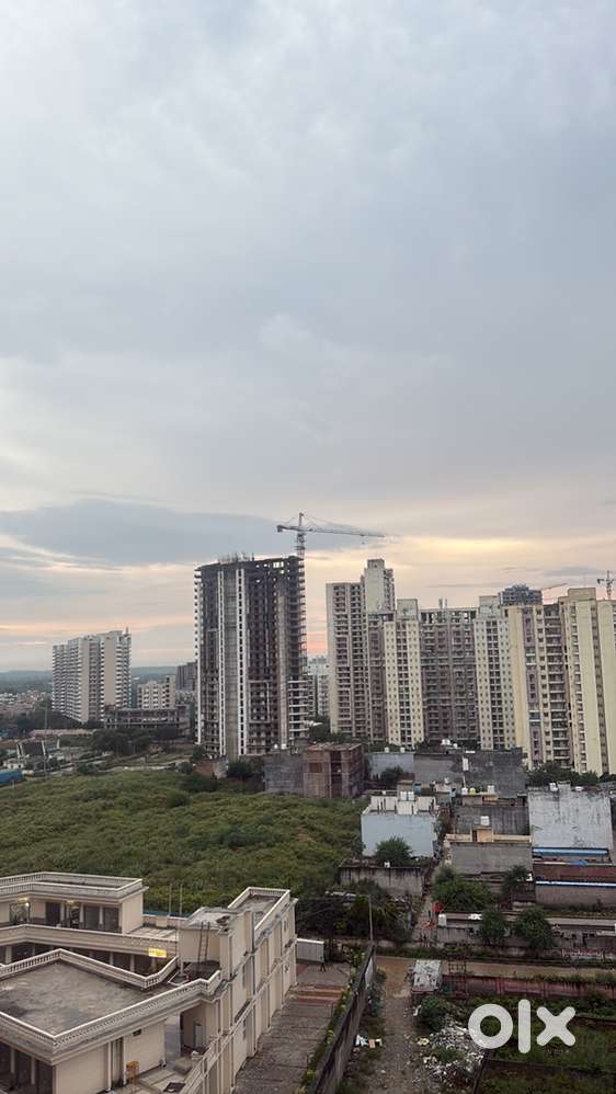 Female flatmate required