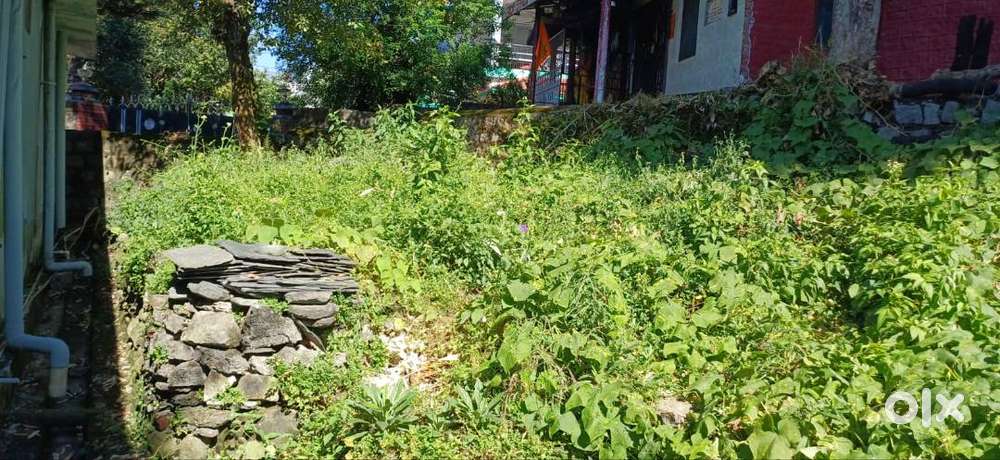 House with land in peaceful location