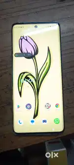 Moto edge 40 Neo 12/256