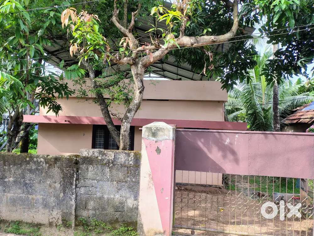Near govt ups school kureepuzha , 13cent,800sqft house,2bhk