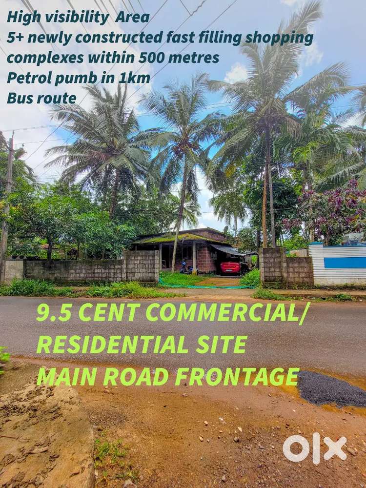9.5 cent investment plot in Parambil bazaar Kuruvattur main road front