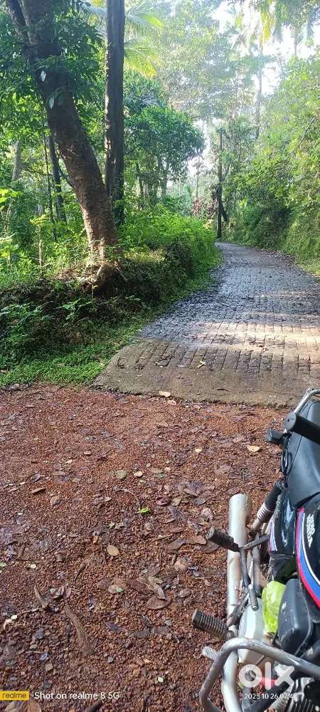 10 cent plot for sale