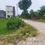 Amarikan kids school k pas
