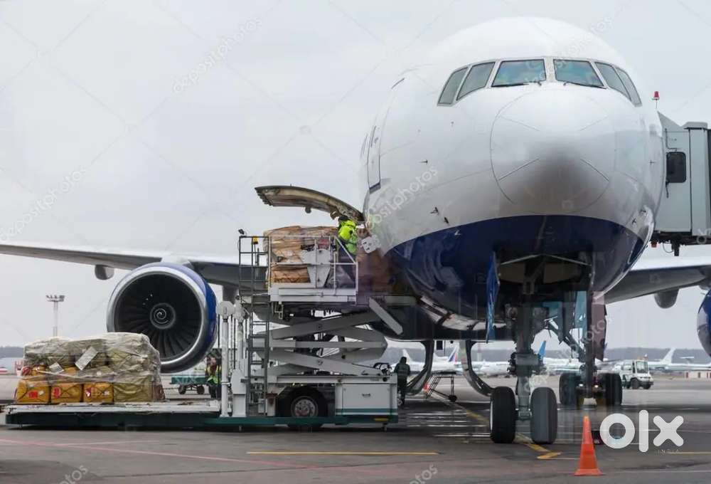'Airport Ground Staff Jobs in Indigo Airlines both candidate apply