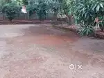 19.6 cent land