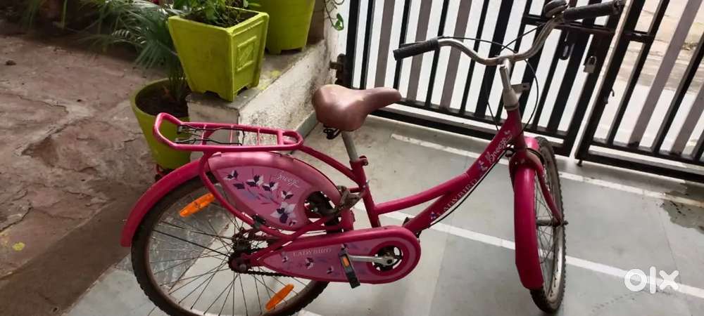 Ladybird Breeze Bicycle