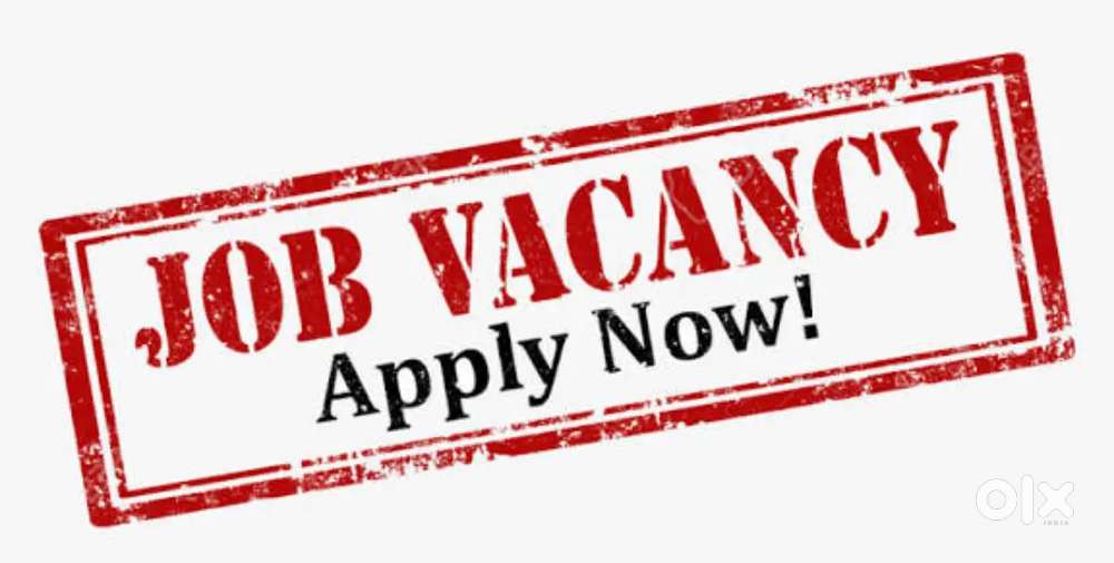 BUISNESS DEVELOPMENT MANAGER