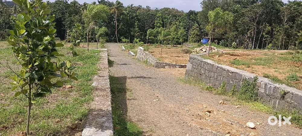 ANGAMALY VILLA POT'S AVAILABLE 4,5,7, 10 CENT,PARK,JIM, 5, MEATER TAR