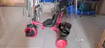Kids tricycle