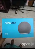 Alexa echo dot