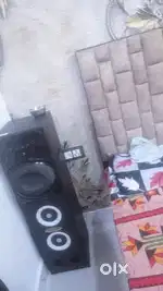 Dj Sound speaker